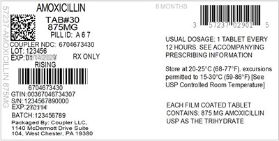 Label (57237 029 01 Amoxicillin 875mg 67046 734 30)